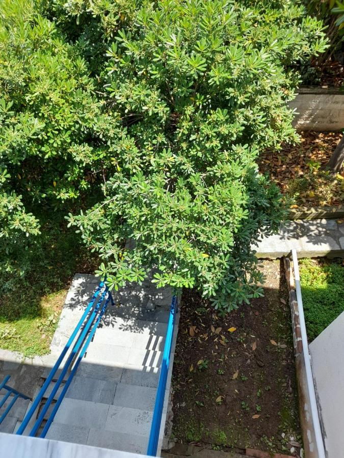 Maisonette Basilissa Nea Poteidaia Buitenkant foto